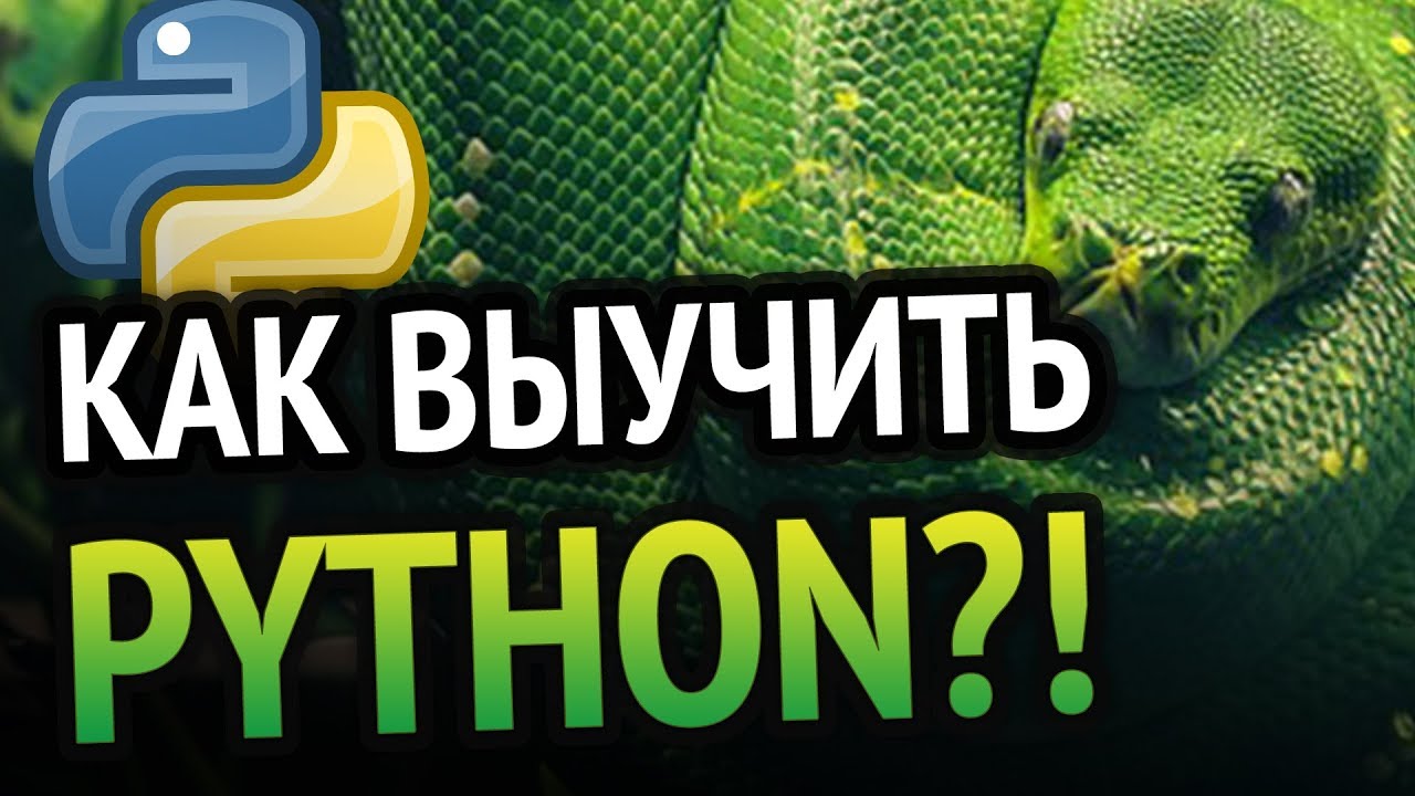 Как выучить Python? Самый аху#### способ!